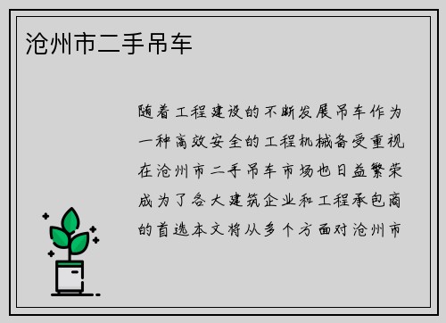 沧州市二手吊车