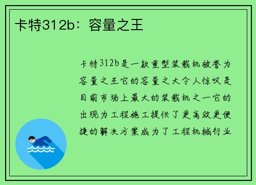 卡特312b：容量之王